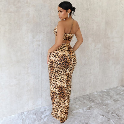 New Fashionable Sexy Fitted Flirty Leopard Print Two-Piece Set D1993528